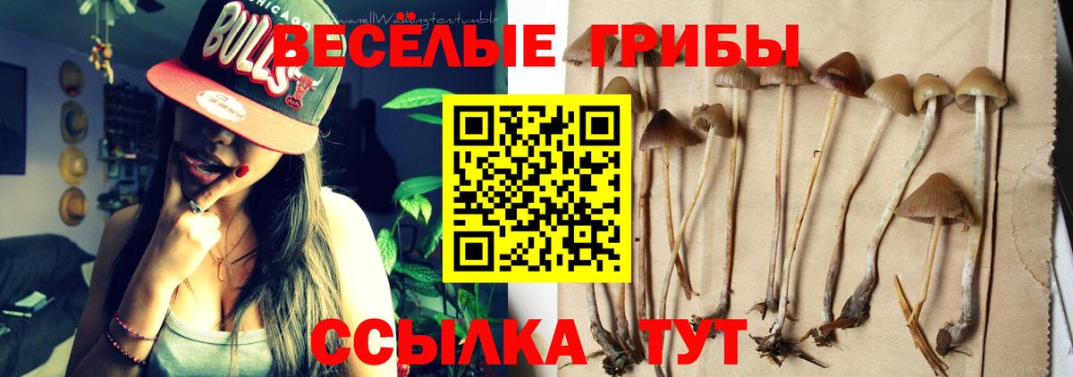 Галлюциногенные грибы MAGIC MUSHROOMS Кизляр