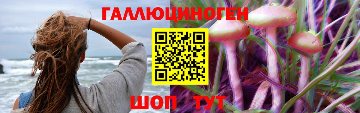 Кизляр  Псилоцибиновые грибы мухоморы  Вход с VPN 